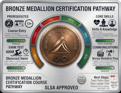 Bronze Medallion (BM)